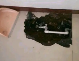 东辽卫生间测漏水多少钱